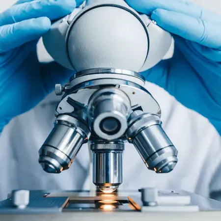 Microscopy & Electron Microscopy