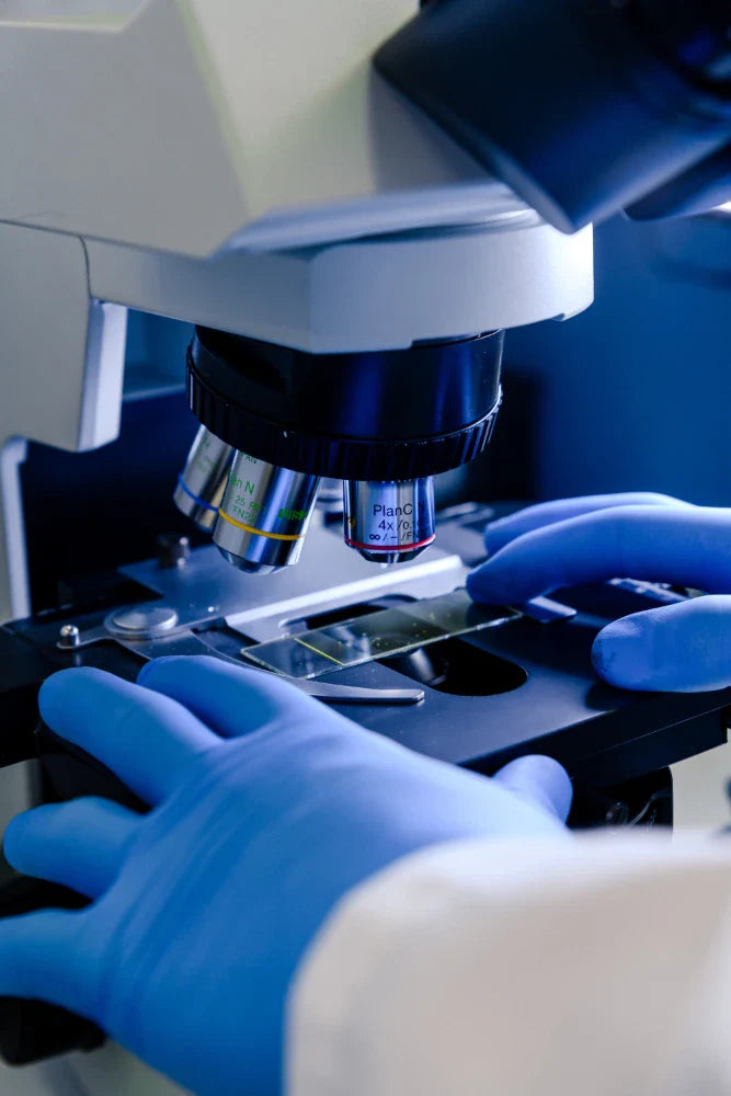 Gloved hands adjusting microscope stage with slide under objective lens in laboratory setting