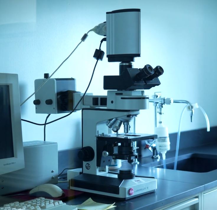Histology & Microscopy