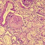 Multiple Stain Solution - Polysciences