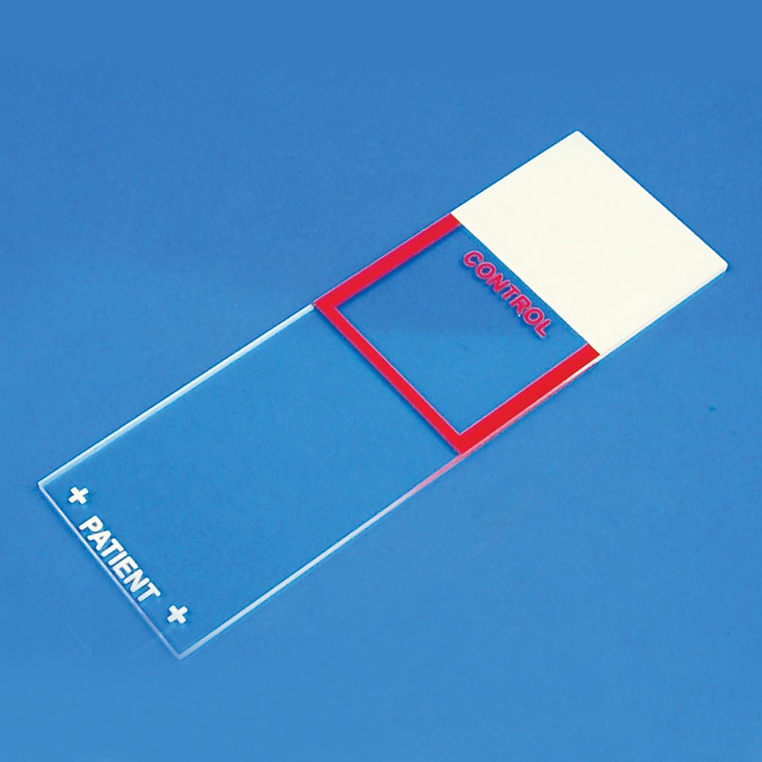 Microscope Control Slides - Polysciences