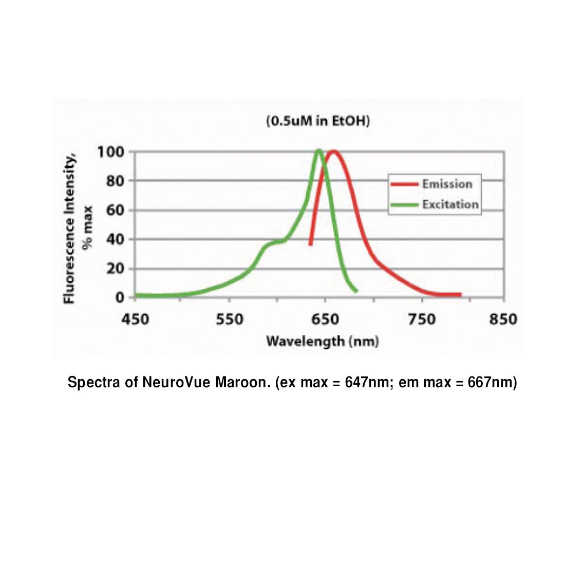 NeuroVue® Maroon - Filter Square For Neuronal Tract Tracing - Polysciences