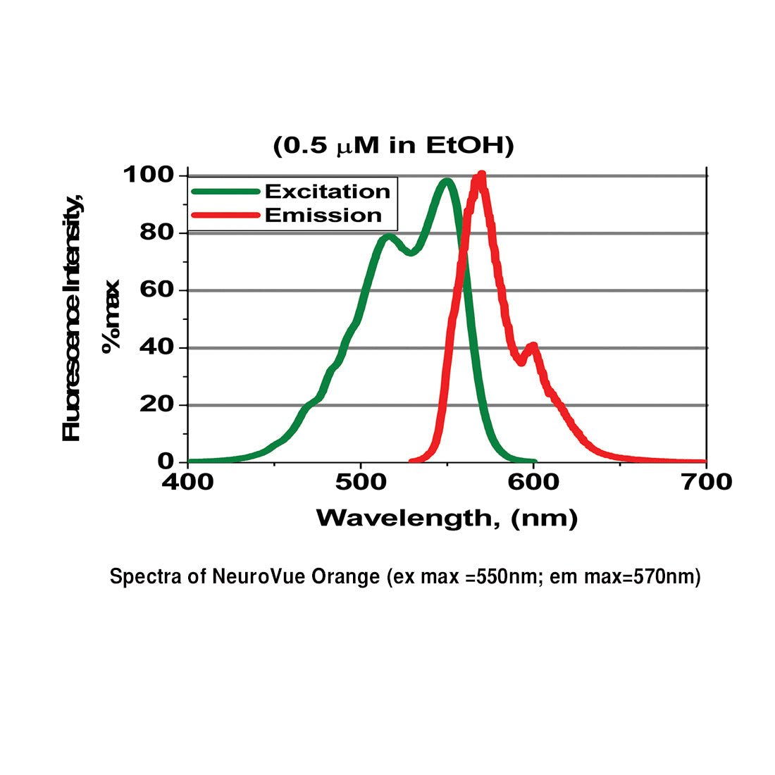 NeuroVue® Orange - Filter Square For Neuronal Tract Tracing - Polysciences