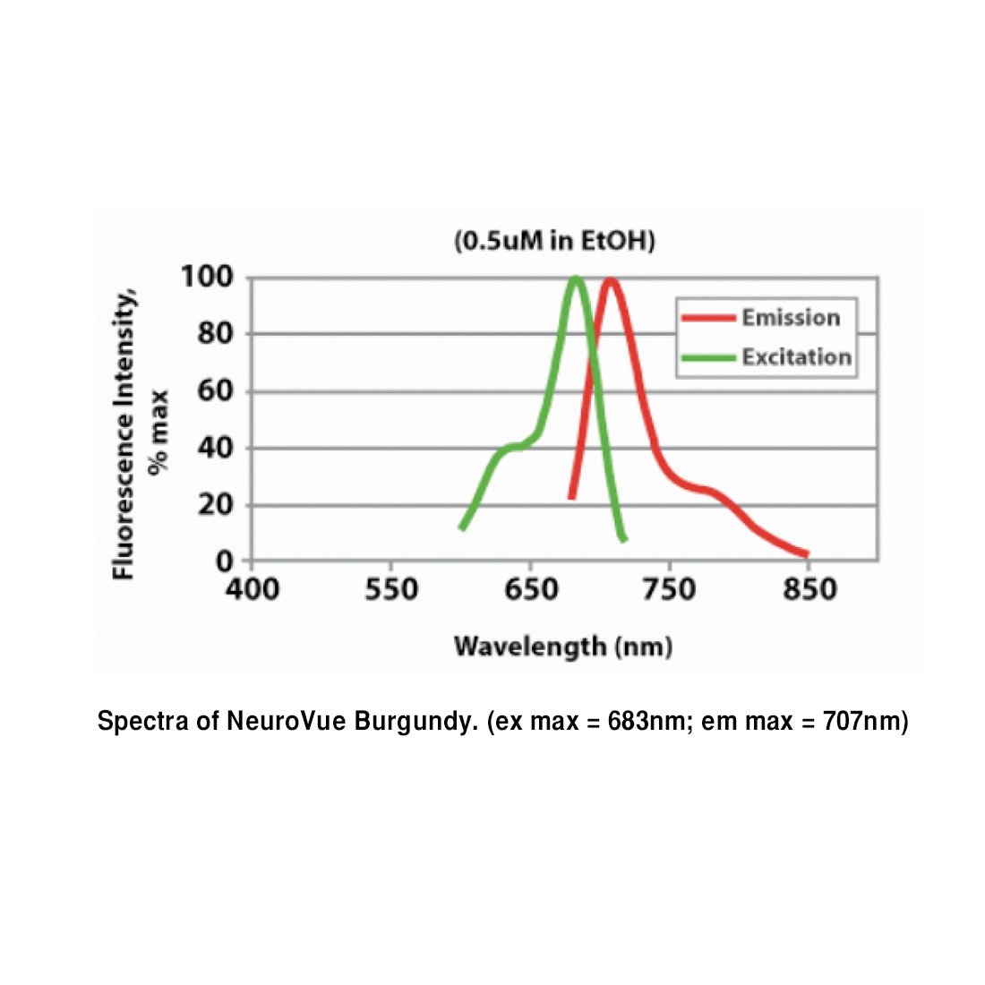 NeuroVue® Burgundy - Filter Square For Neuronal Tract Tracing - Polysciences