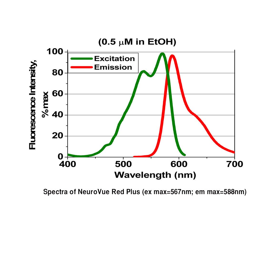 NeuroVue® Red Plus - Filter Square For Neuronal Tract Tracing - Polysciences