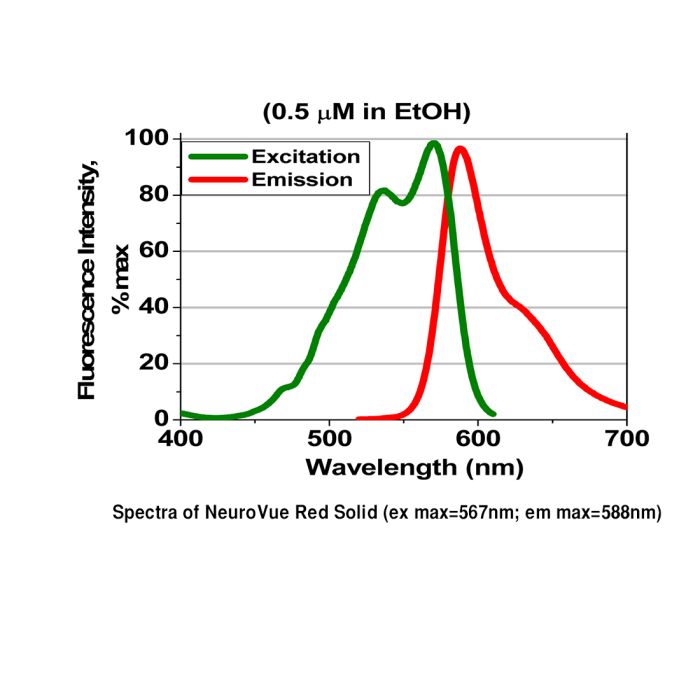 NeuroVue® Red Solid - For Neuronal Tract Tracing - Polysciences