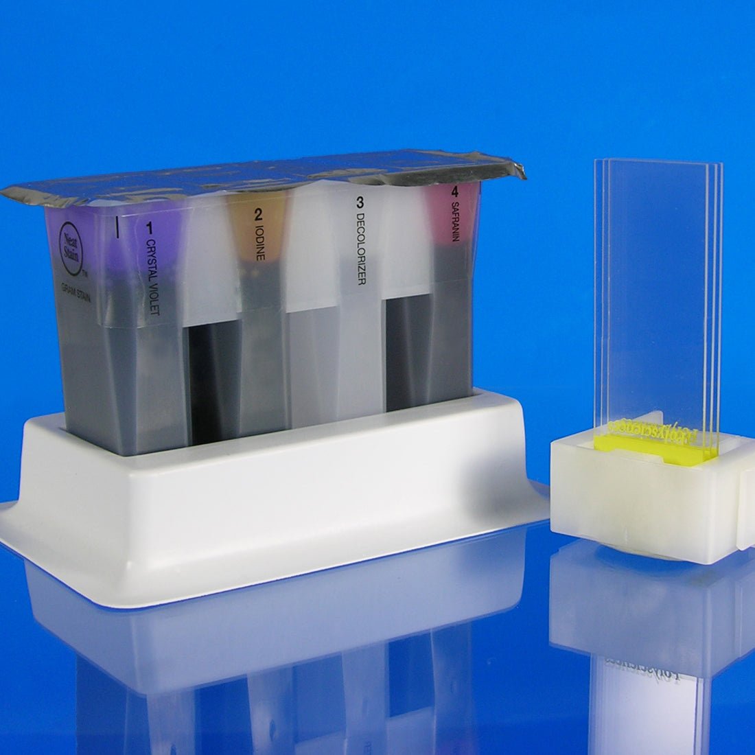 Gram Stain Set (Stabilized) - Polysciences