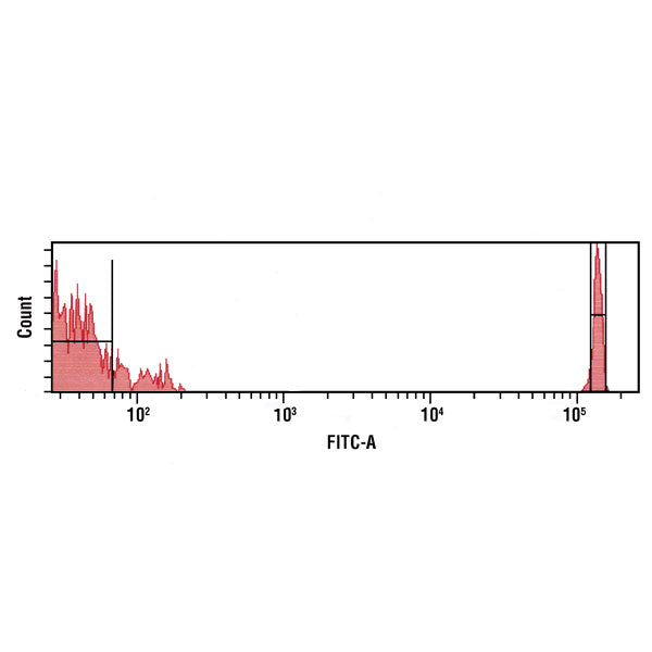 Viability Dye Compensation Standard, 8µm