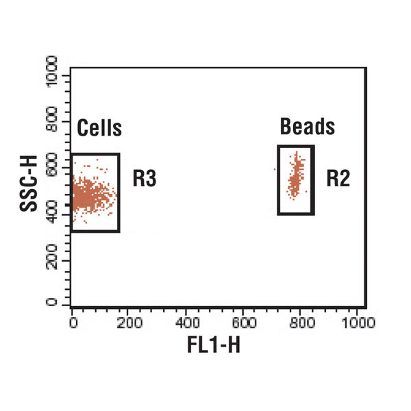 Flow Cytometry Absolute Count Standard™ (20 tests)