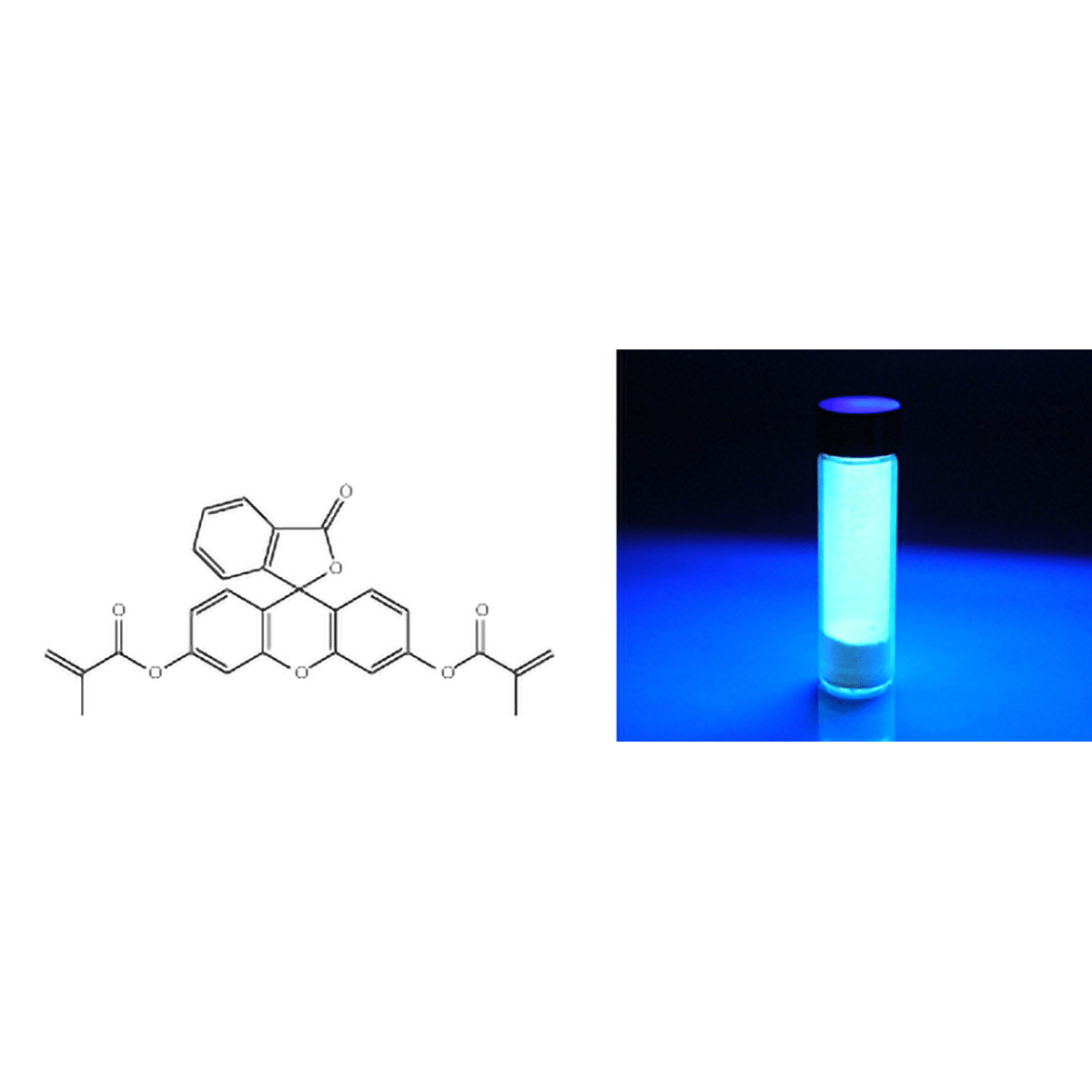 Fluorescein dimethacrylate - Polysciences