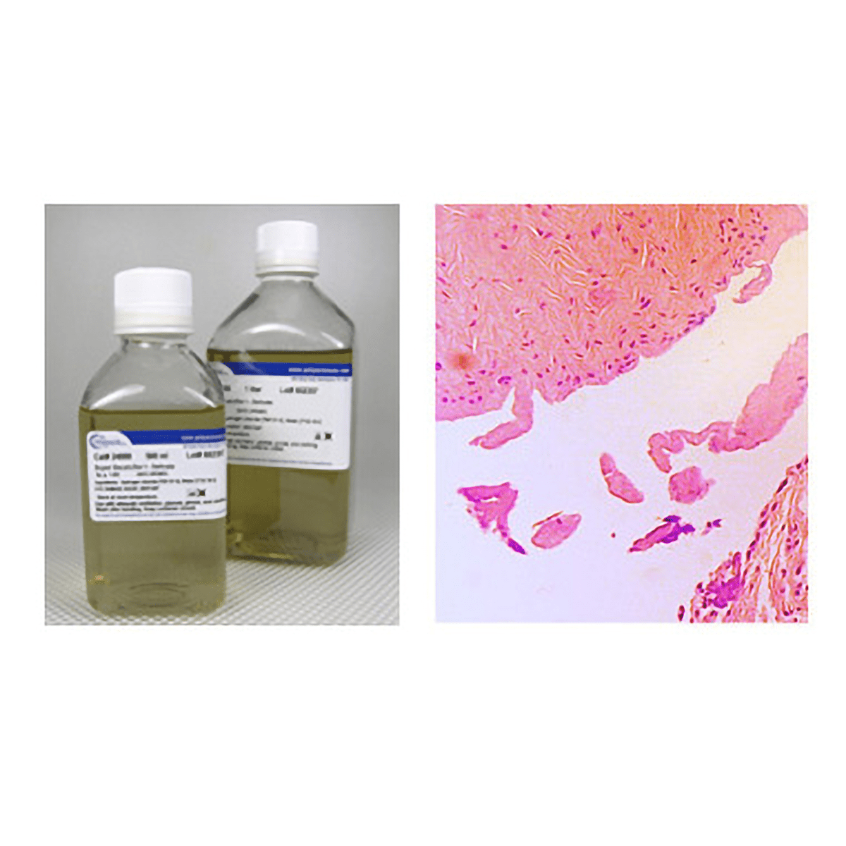 Super Decalcifier I: Delicate - Polysciences