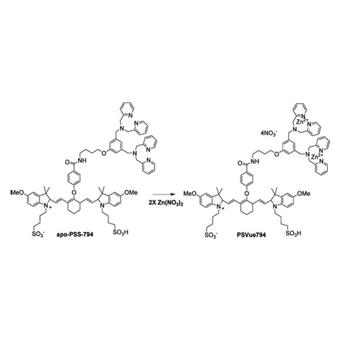 PSVue® 794 Reagent Kit - Polysciences