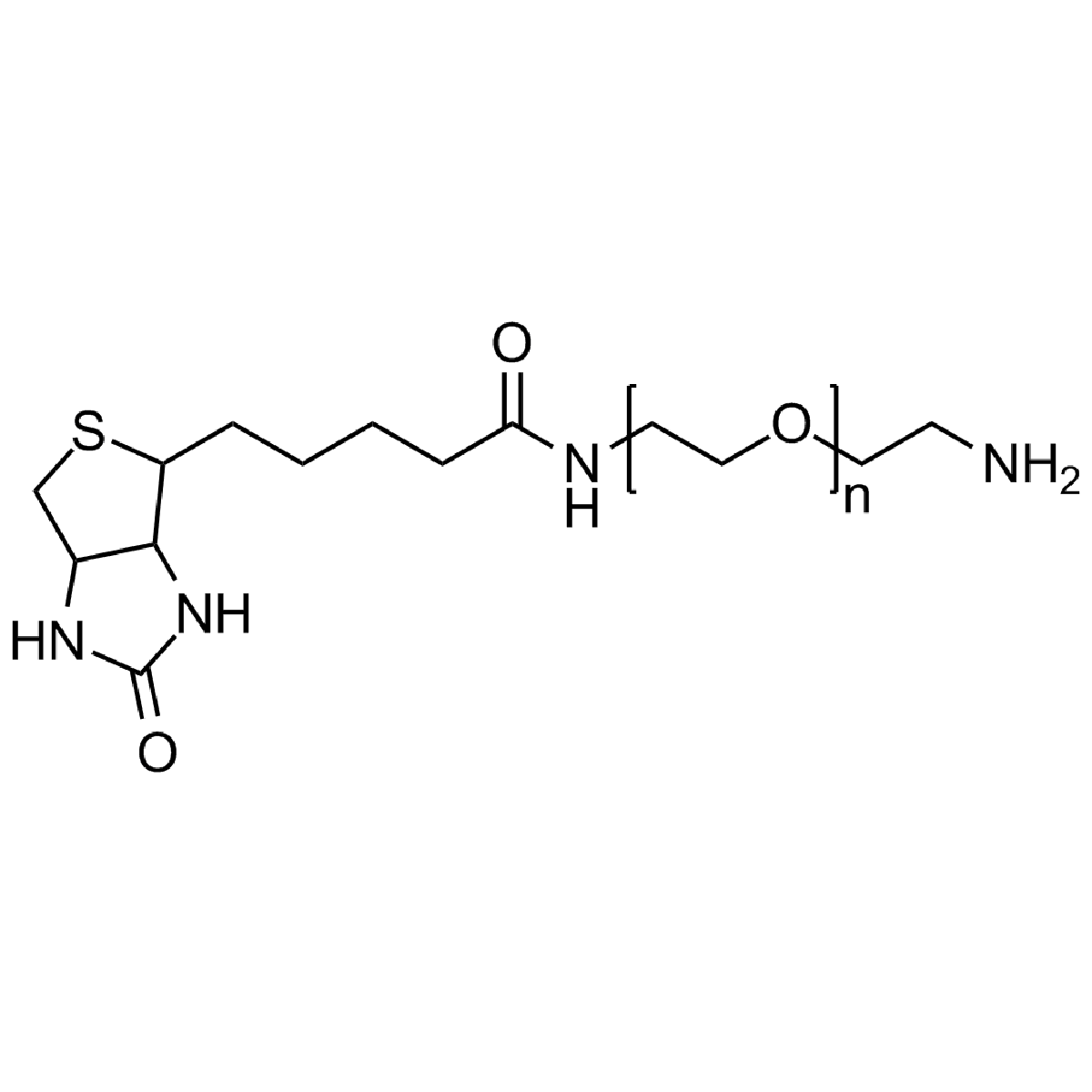 Biotin PEG amine, Mp 5000 - Polysciences