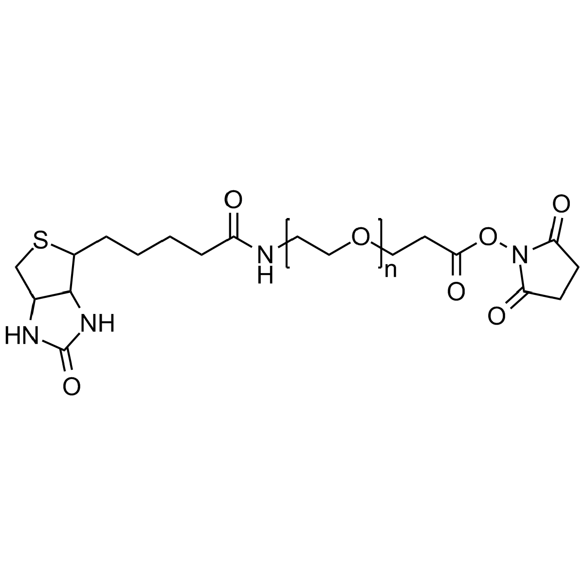 Biotin PEG NHS, Mp 3000 - Polysciences