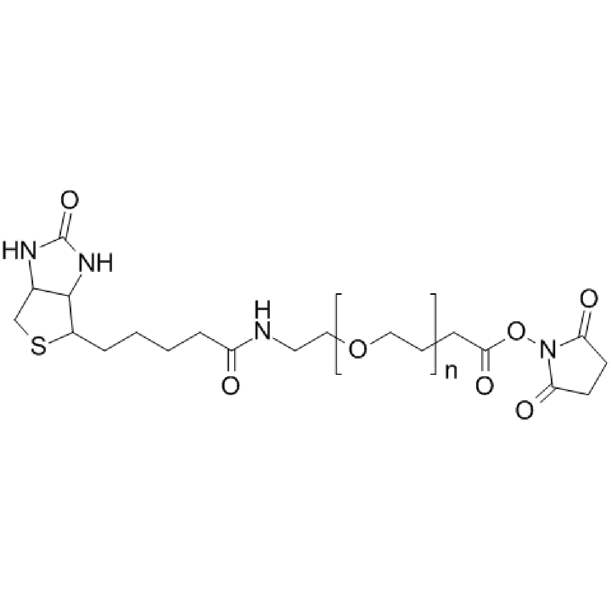 Biotin PEG NHS, Mp 10000 - Polysciences