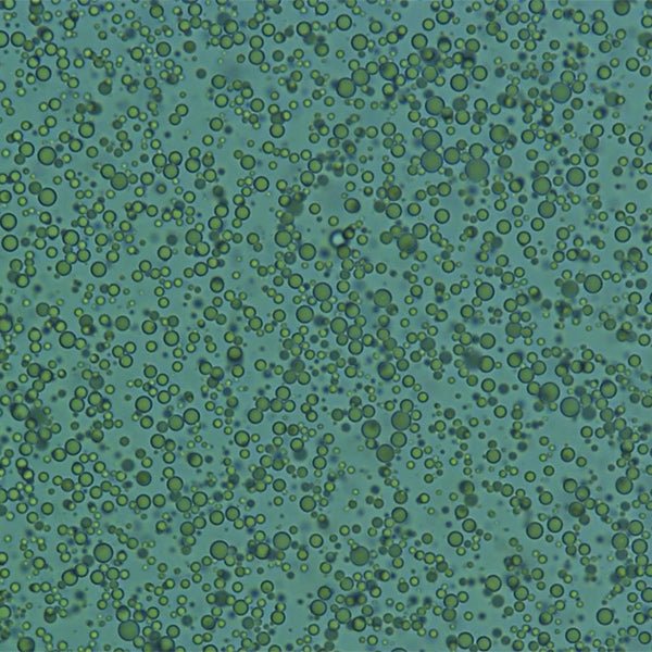 Polybead® Poly(methyl methacrylate) Microspheres - Broad Distribution - Polysciences