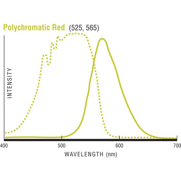 Fluoresbrite® Polychromatic Red Microspheres 2.0µm - Polysciences
