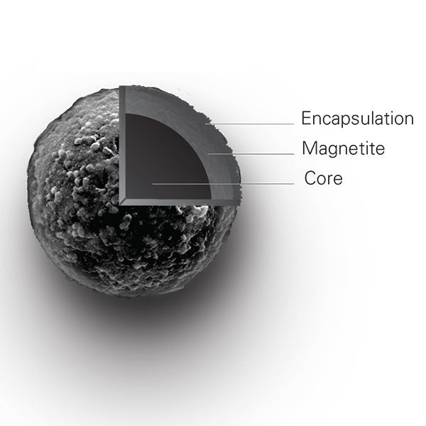 Magnefy™ COOH 1µm