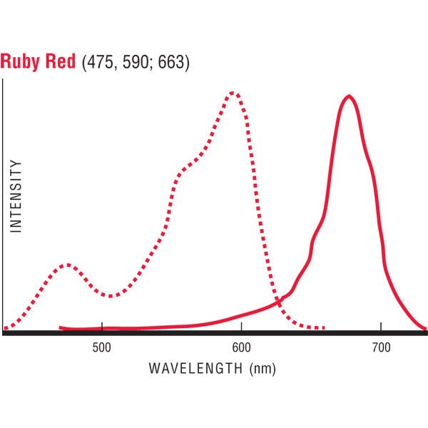 Flow Check™ Ruby Red Fluorescent Microspheres - Polysciences