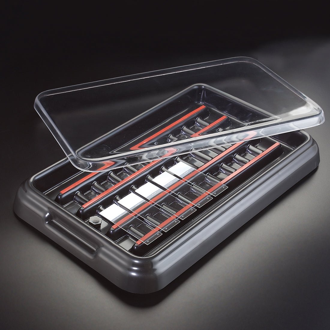 StainTray™ Slide Staining System - Base with Clear Lid (20 Slide Capacity) - Polysciences