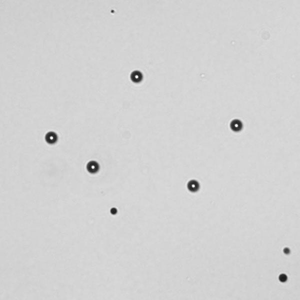 ViaCheck™ Viability Control 0% SingleShots™