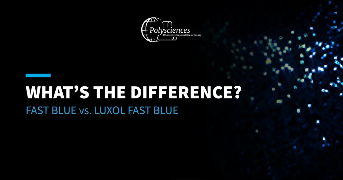 Fast Blue vs. Luxol Fast Blue: What’s the Difference?
