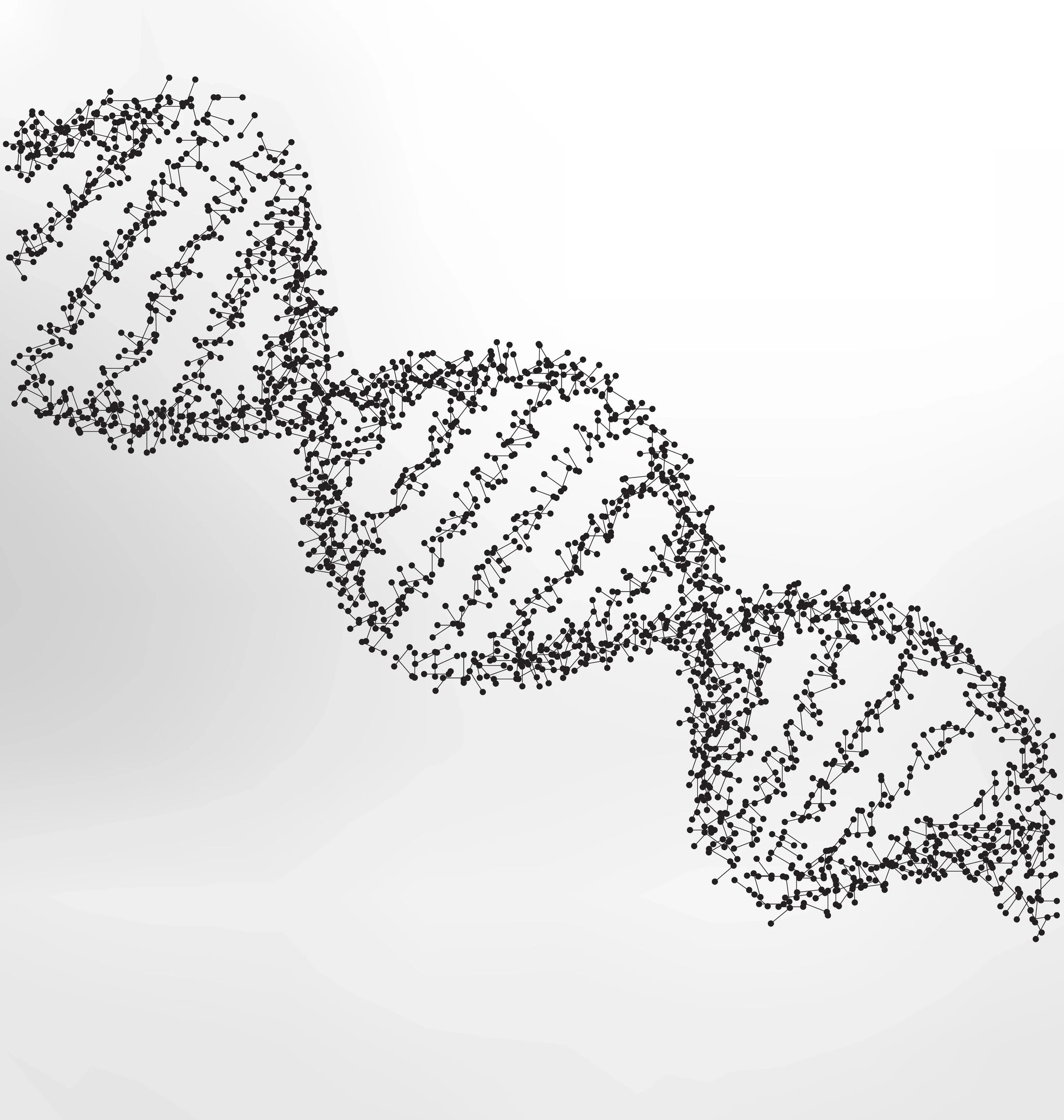 Lipid Transfection Reagents