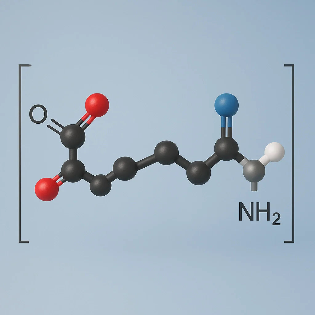 Amide Polymers