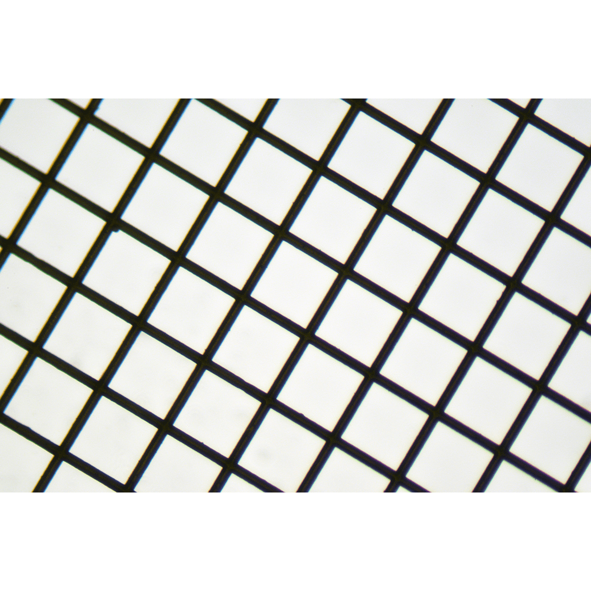 Grids - Square Mesh Grids - Thin Bar, High Definition - Copper 200mesh - Polysciences