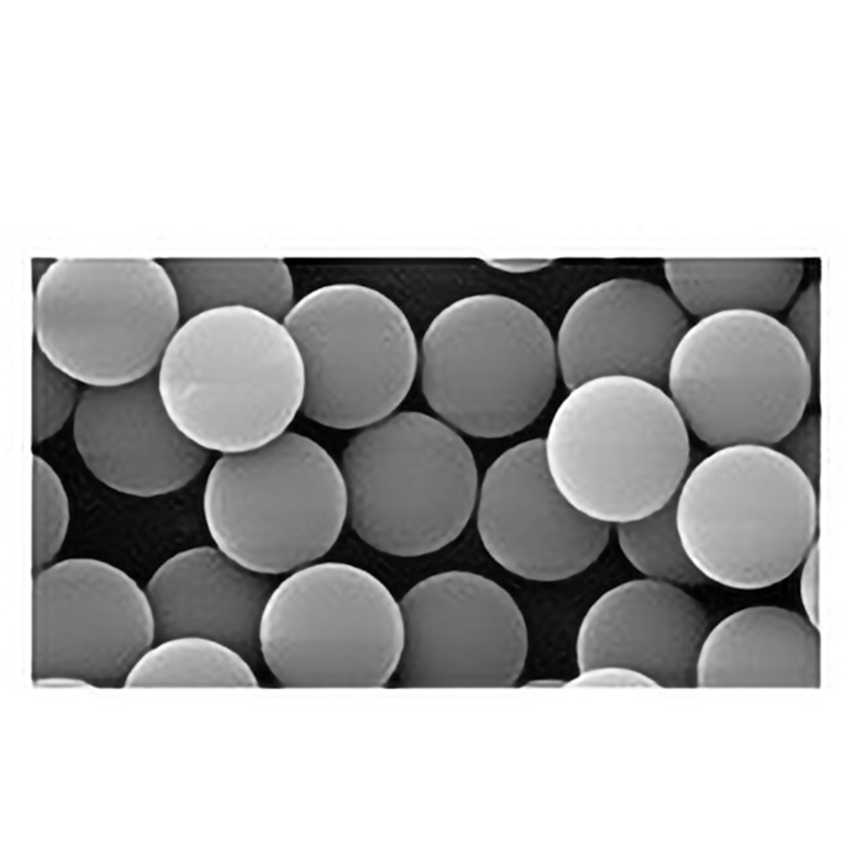 Silica Microspheres - Dry, 5.0µm - Polysciences
