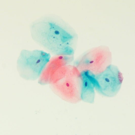 Gill's modified EA - Polysciences