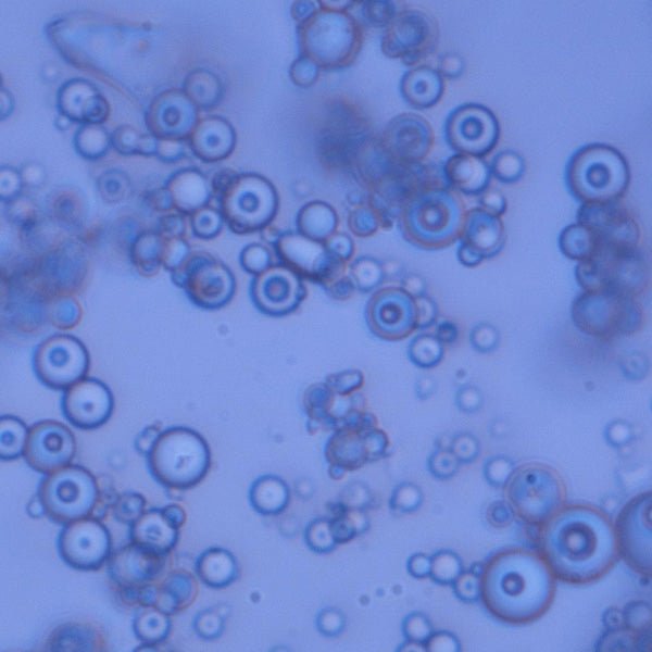 Glass Beads, Amine - Polysciences