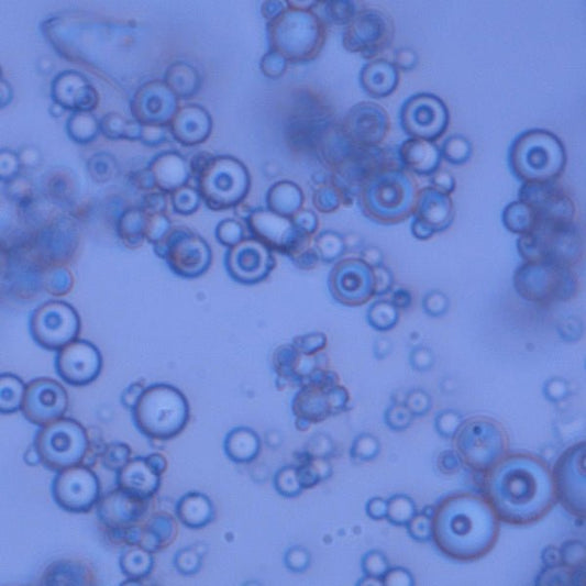 Glass Beads, Amine - Polysciences