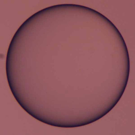 Polystyrene Beads, Large (355-425μm)
